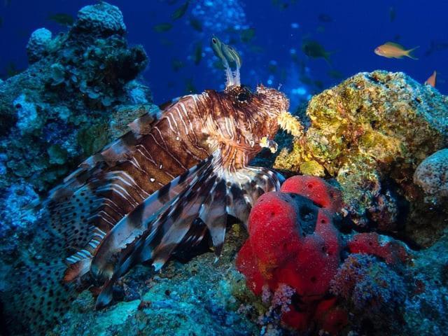 Aqua Sun Otel Nuweiba` Dış mekan fotoğraf